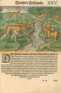 Chasse aux cerfs de Virginie, 1591, par Theodor de Bry
