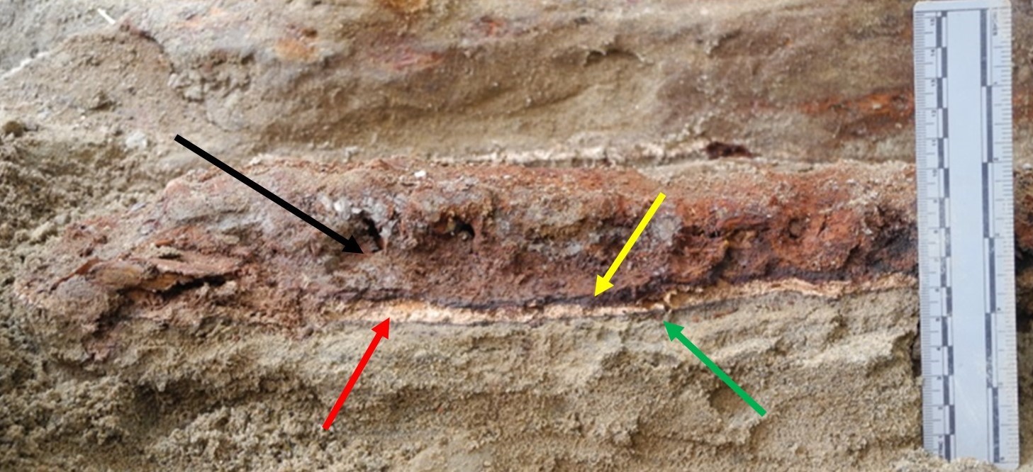 Cross-sectional of the soil