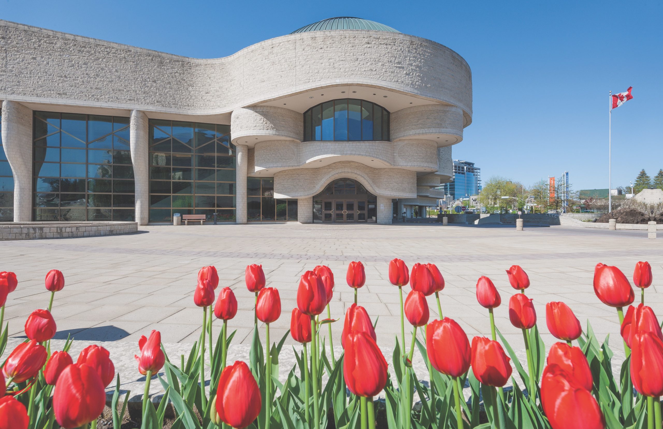 Tulipes rouges devant le Musée canadien de l'histoire à Ottawa.