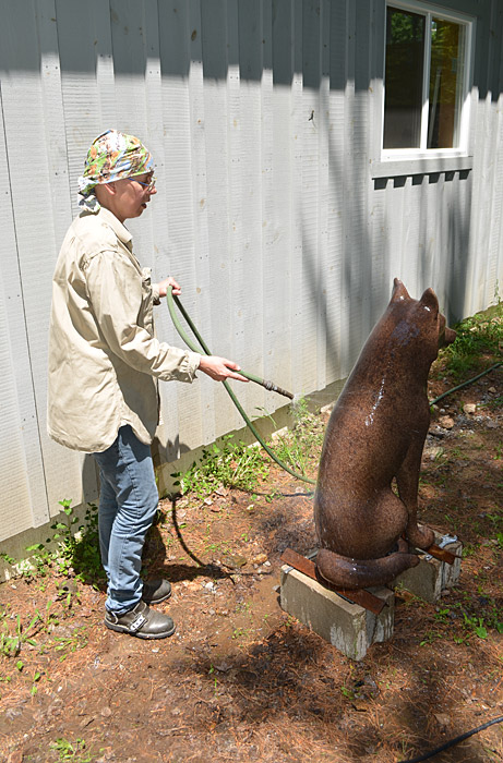 Une statue brune d'un loup au Musée canadien de l'histoire.