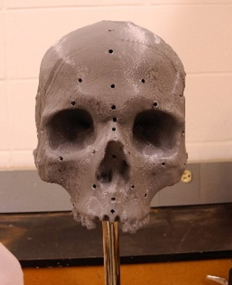 The front view of the partially complete 3D-printed replica of the skull.