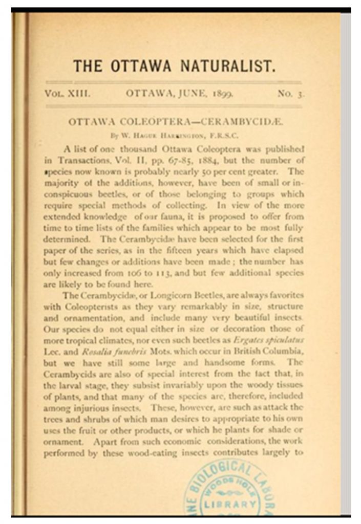 Ottawa Naturalist publication discussing pine sawyer beetles active in the Ottawa area in the late 19th century.