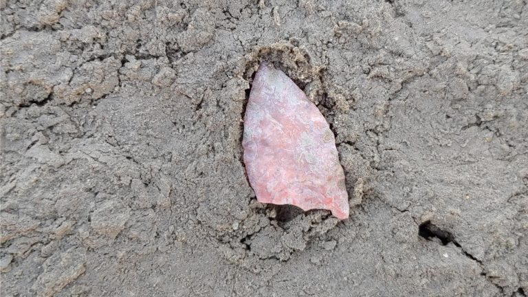 Artifact in the sand at Wallys Beach