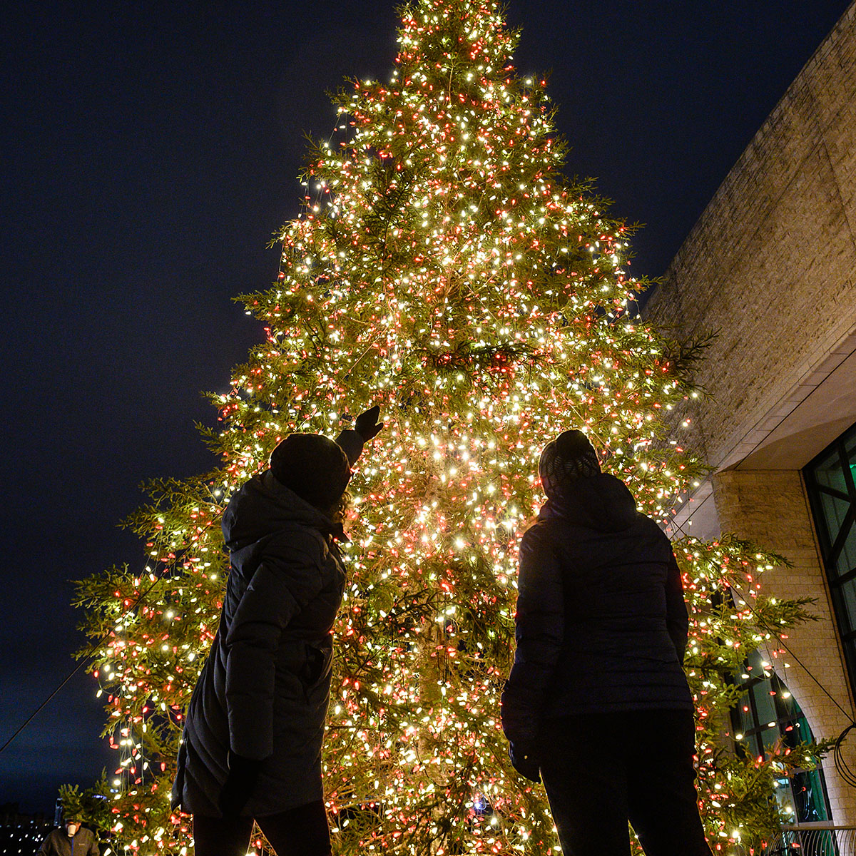 Deux femmes regardant vers le sapin de noël