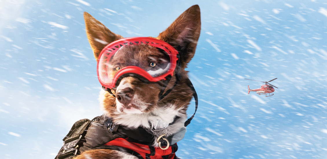 Un chien porte des lunettes et un gilet de sécurité au sommet d'une montagne enneigée